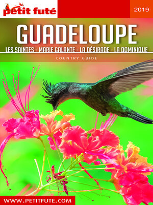 cover image of Guadeloupe 2019 Petit Futé